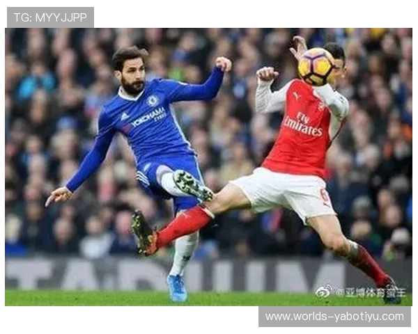 亚博体育线上官网用户评论与反馈，了解真实用户的使用感受与建议